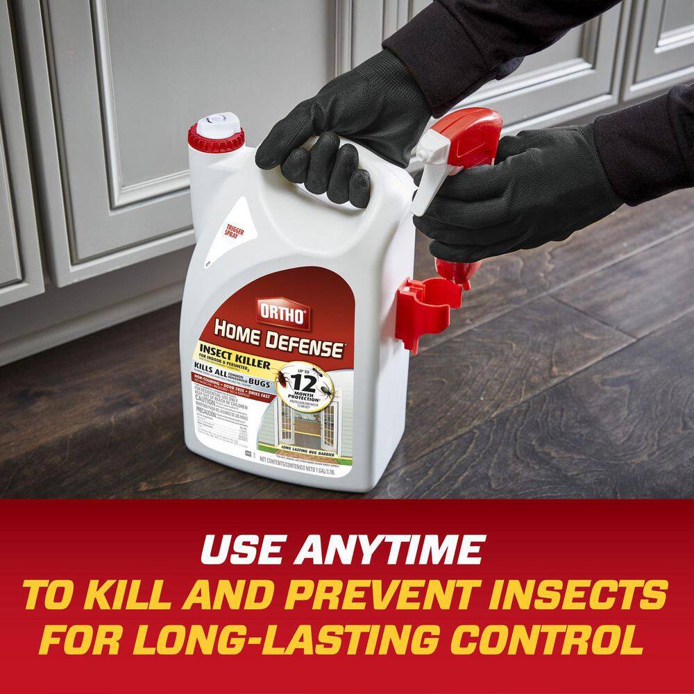 Ortho Home Defense 1 gal. Insect Killer for Indoor  Perimeter2 Ready-To-Use Trigger Sprayer 022081004
