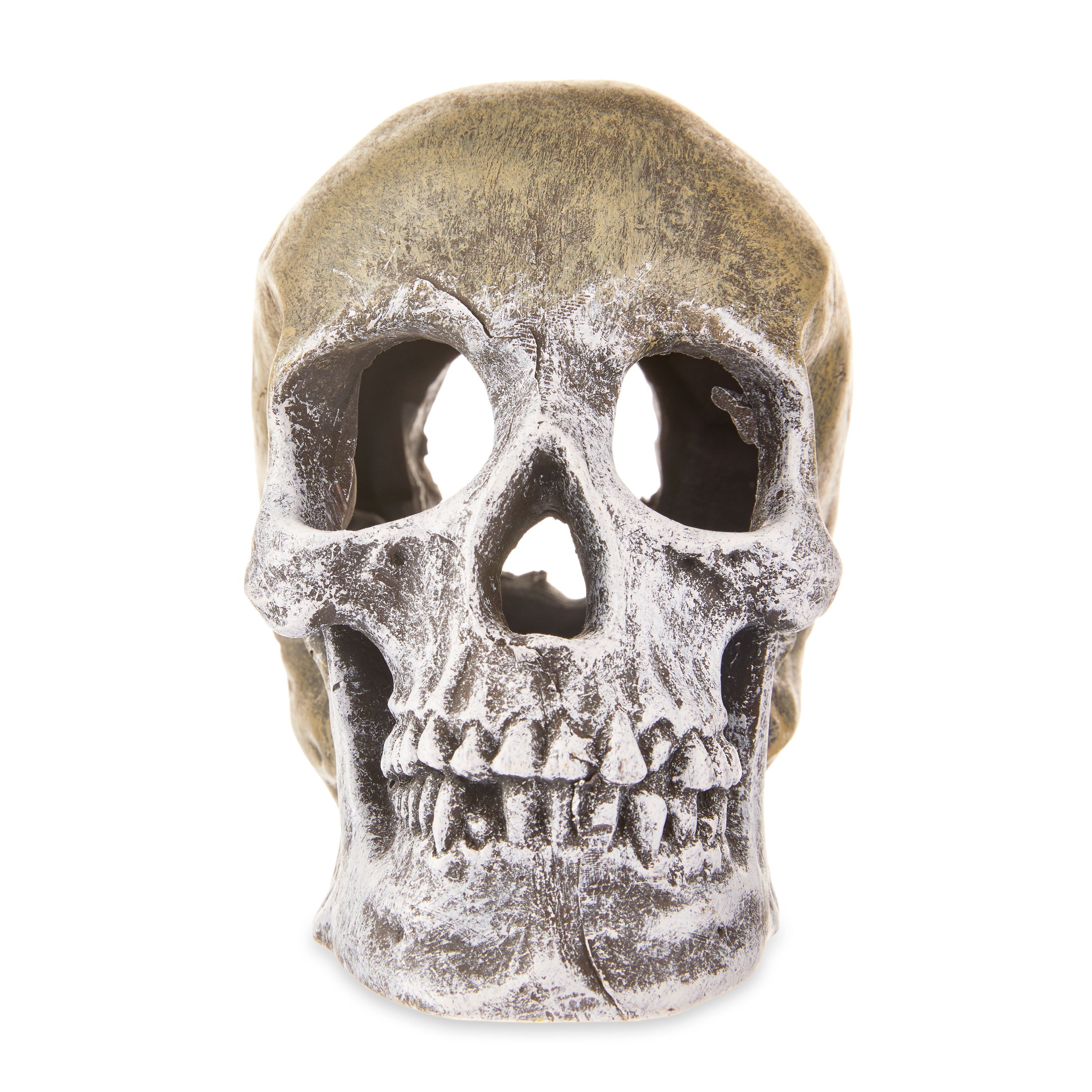 Aqua Culture Human Skull Aquarium Ornament