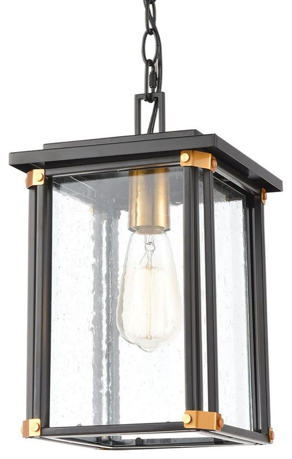 Rectangular 1 Light Outdoor Hanging Lantern Ceiling Light Brass Accents   Transitional   Outdoor Hanging Lights   by Bailey Street Home  Houzz