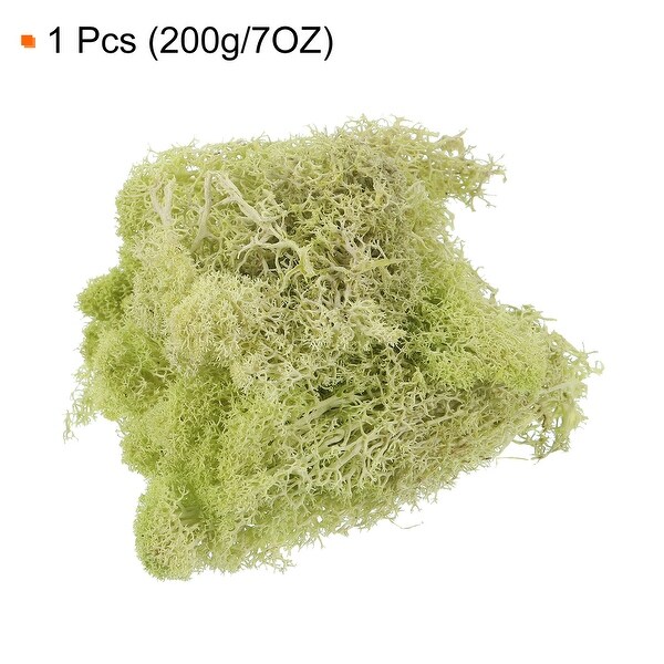 7OZ Moss Preserved Moss Artificial Moss for Craft Floral Project Decor