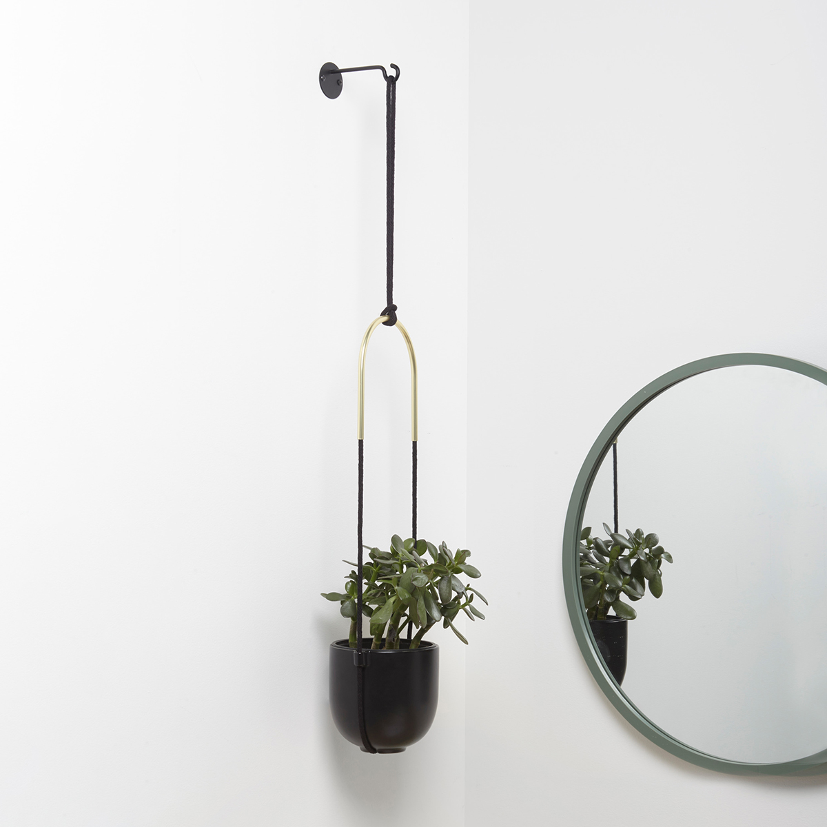 Umbra Bolo Hanging Planter