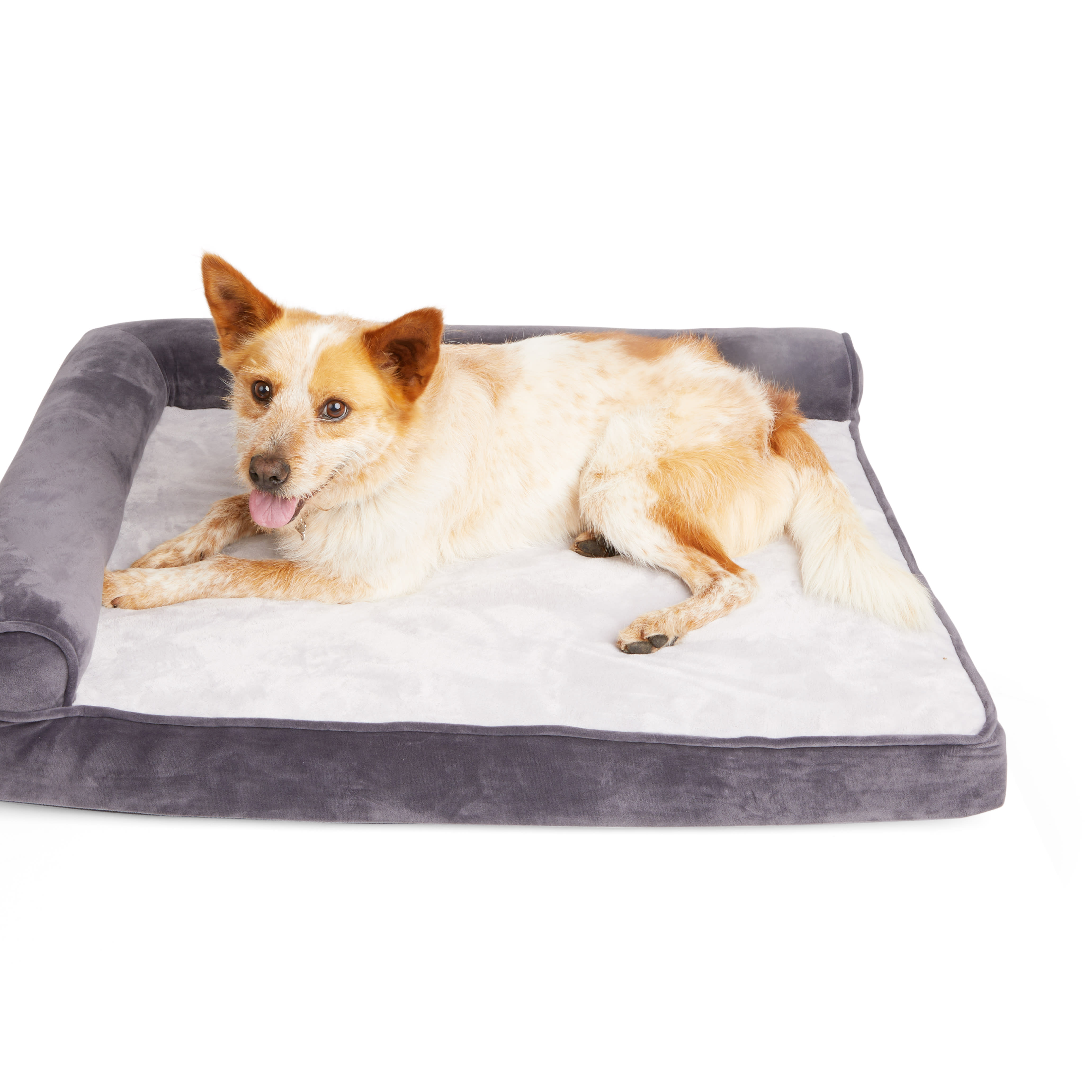 EveryYay Essentials Orthopedic Chaise Dog Bed， 20