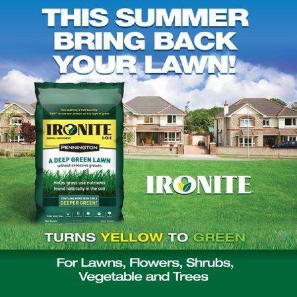 Ironite 15 lbs. Mineral Supplement 1-0-1 100532501