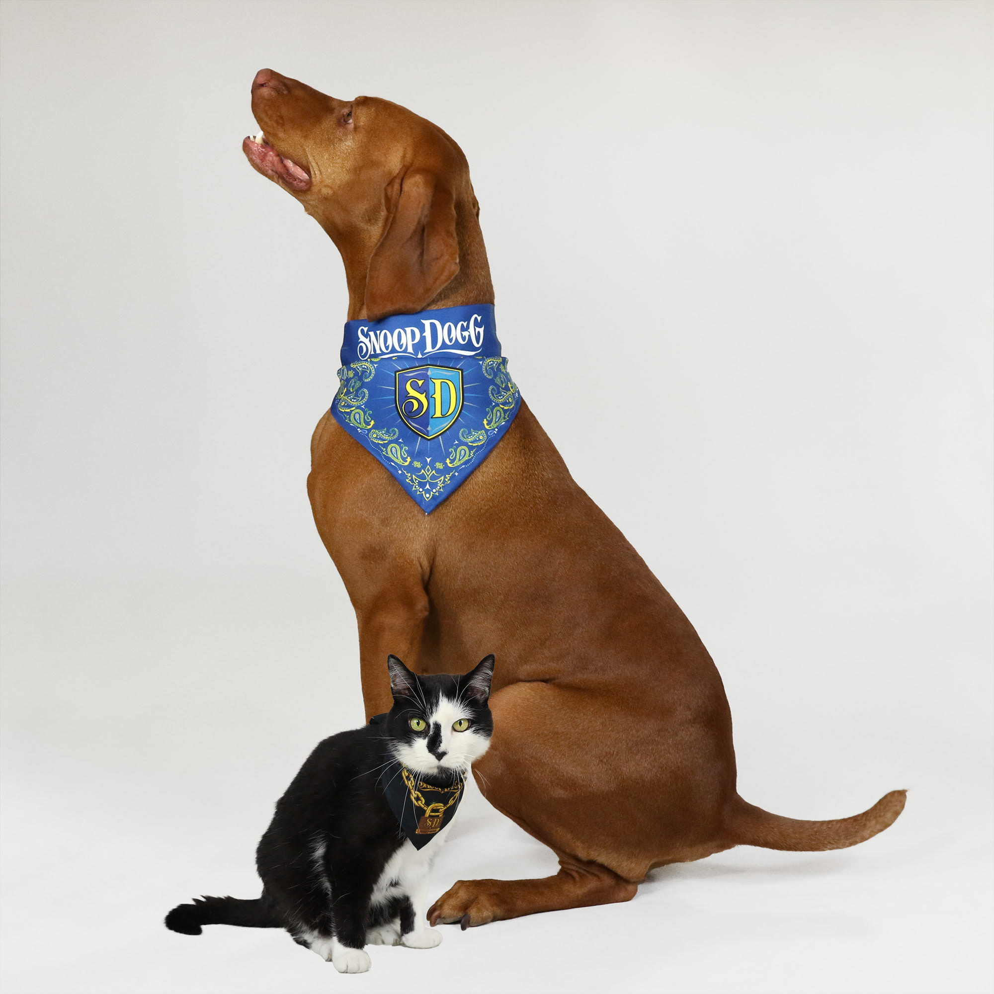 Snoop Doggie Doggs Blue Halftime  Off the Chain Deluxe Pet Bandana， X-Small， Set of 2