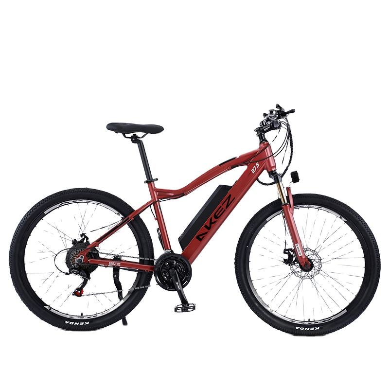 Hot Selling Electric Bike Off Road Ebike Powerful Mountain Electric Bicycle For Adults Cycling E BIKE