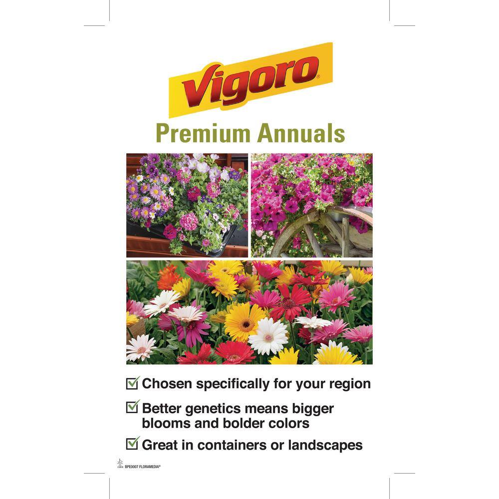 Vigoro 1 Qt. Pink Lantana Plant (2-Pack) LANLLUSH0-QAV2