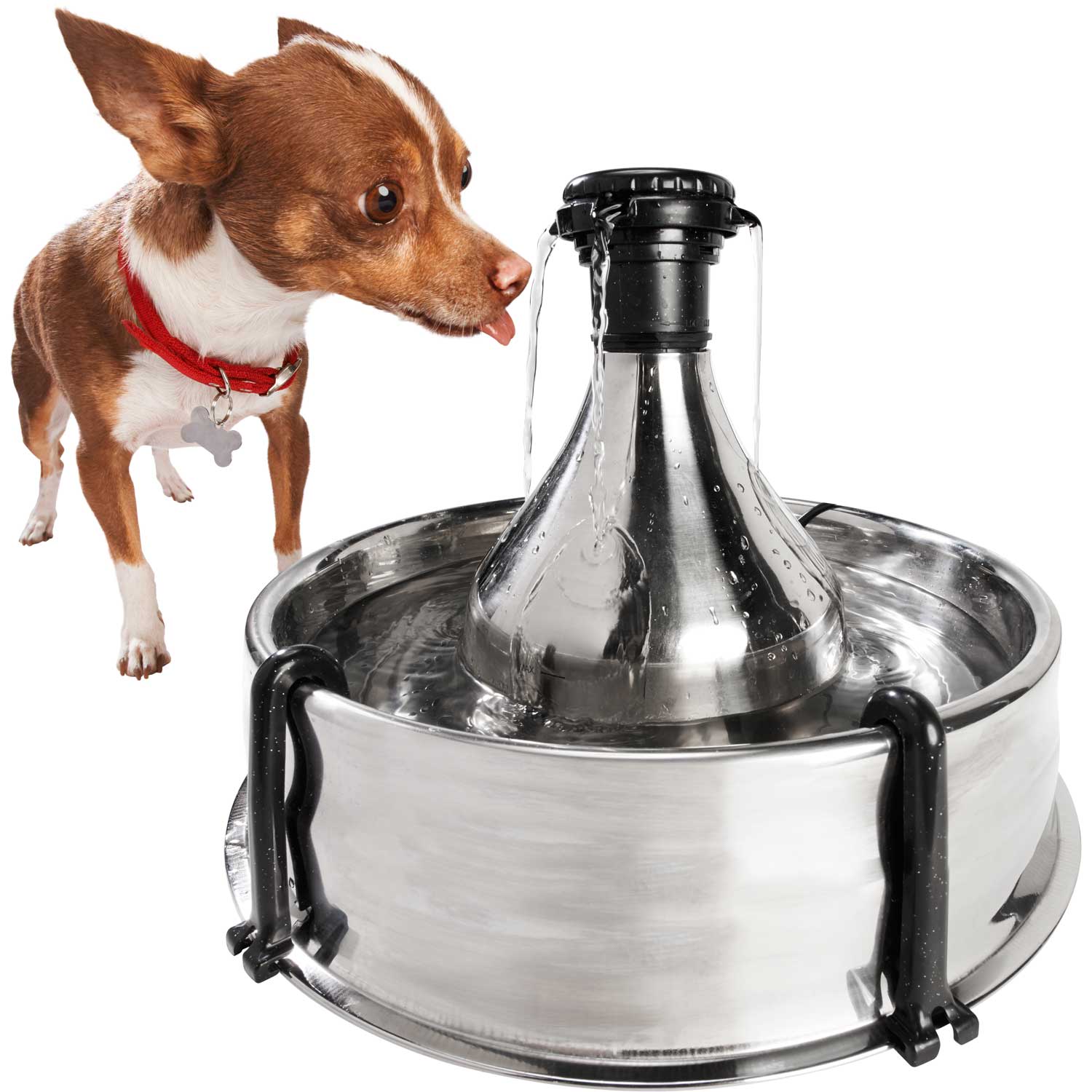 PetSafe Drinkwell 360 Stainless Steel Multi-Pet Dog and Cat Water Fountain， 128 oz.