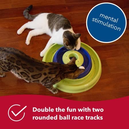 Pet Turbo Catnip Hurricane Cat Toy - Interactive Double Cat Toy Ball Track - for Cats and Kittens - Green and Blue - 16