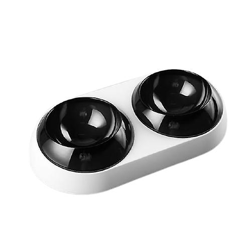 Safe slanted durable dog bowl