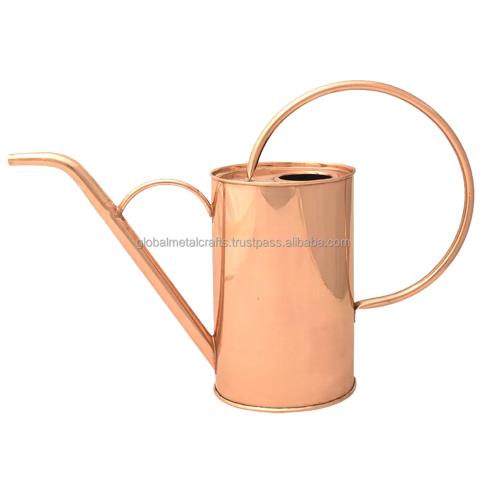 Watering Can with Handle Stainless Steel Watering Pot for Succulent Orchid Indoor Outdoor Plants for Houseplants  Succulents  Se