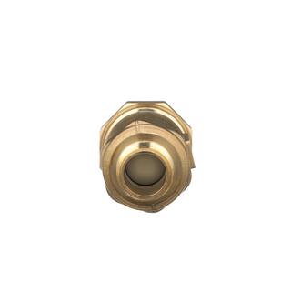 Zurn 34 in. Male Inlet x 34 in. Union Female Outlet 700XL Dual Check Valve 34MX34UF-700XL