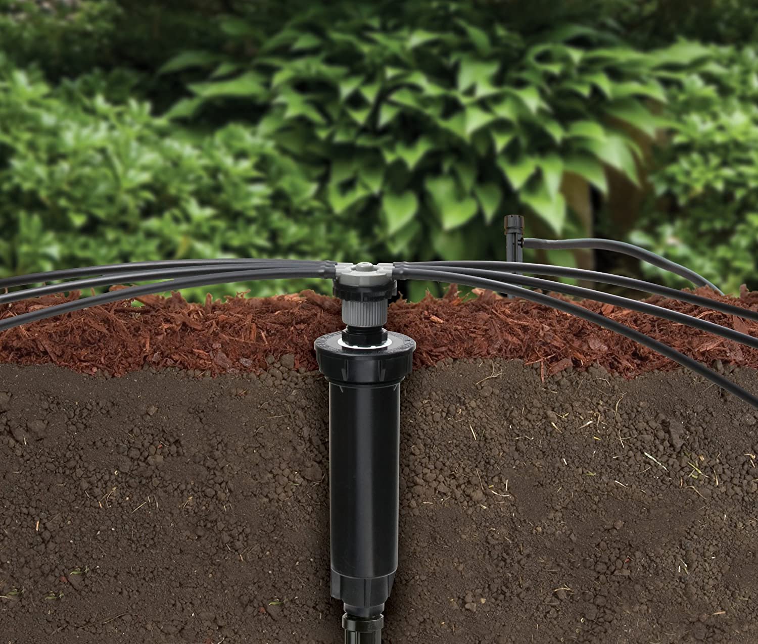 Rain Bird CNV182MBS Drip Irrigation Sprinkler Conversion Kit， 1800 Pop-Up to 6 Drip Micro Bubblers with 1/4