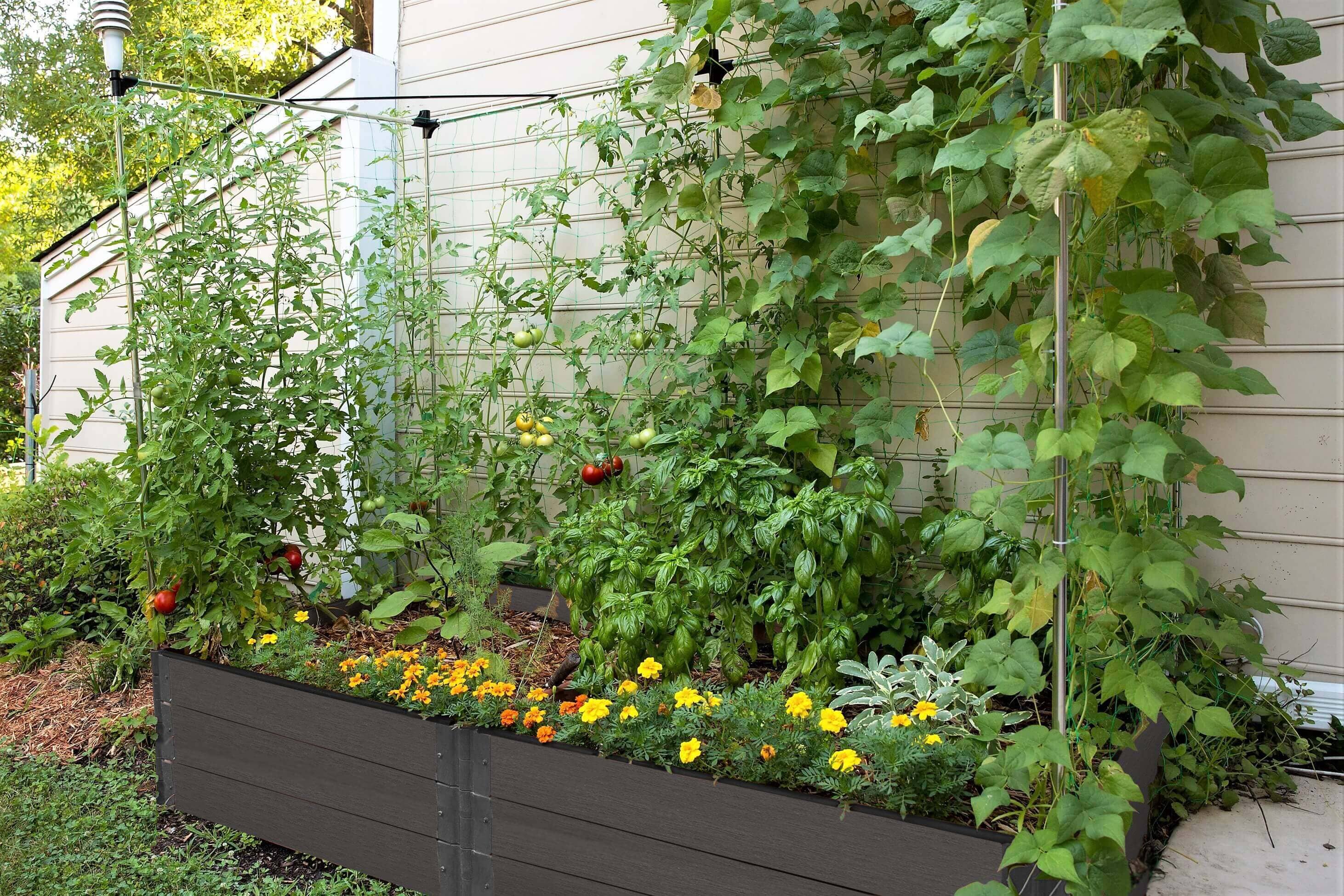 4' x 8' Raised Garden Bed with Trellis