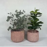 Garden Supplies Hot Selling Cheap Fiber Clay Flower Pot Modern Korean Flower Plant Pots For Living Room