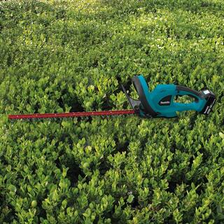 Makita 22 in. 18V LXT Lithium-Ion Cordless Hedge Trimmer Kit with Battery 4.0Ah and Charger XHU02M1