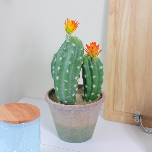 Green Flowering Column Cactus In A Ceramic Pot With Flowers