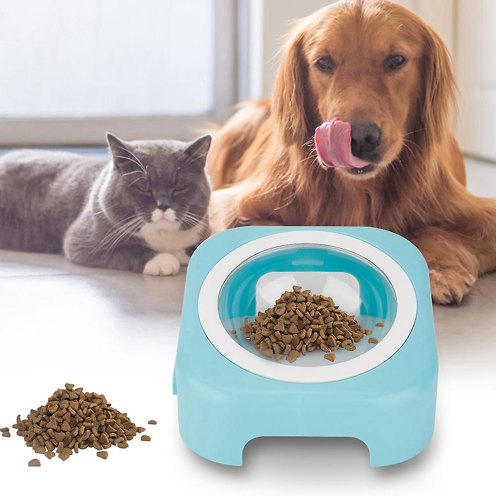 Plastic Transparent Pet 10 Degree Slanted Bowl Feeder With Durable Stand For Cat Dog(blue)