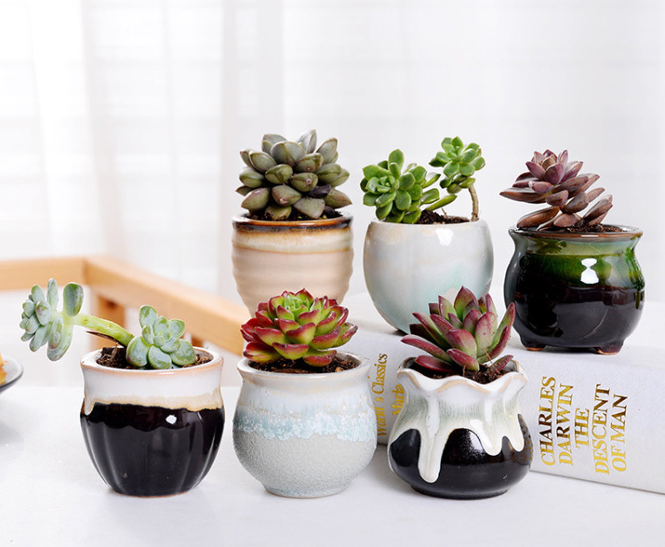 2CFUN 2.5 Inch Ceramic Succulent Planter Pots with Drainage  (6 Pack)