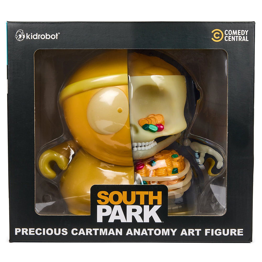 South Park Cartman Anatomy 8