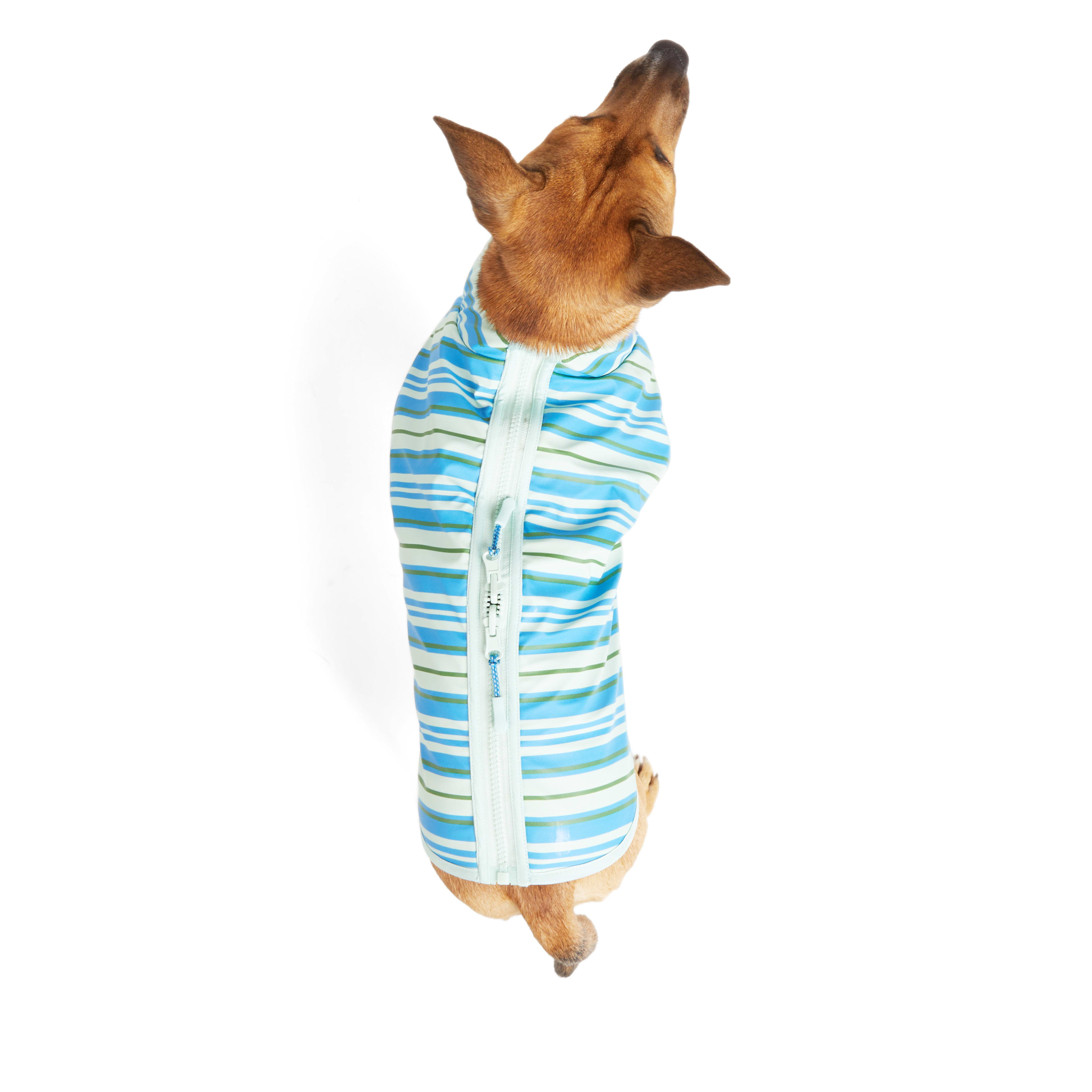 YOULY Blue Reversible Stripe Pet Jacket， XX-Small