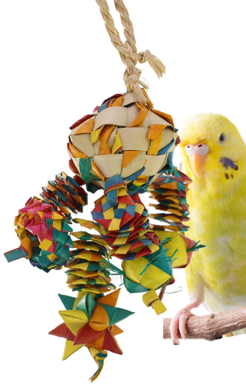 Bonka Bird Toys 03326 Small Diamond Bouncer Bird Toy.