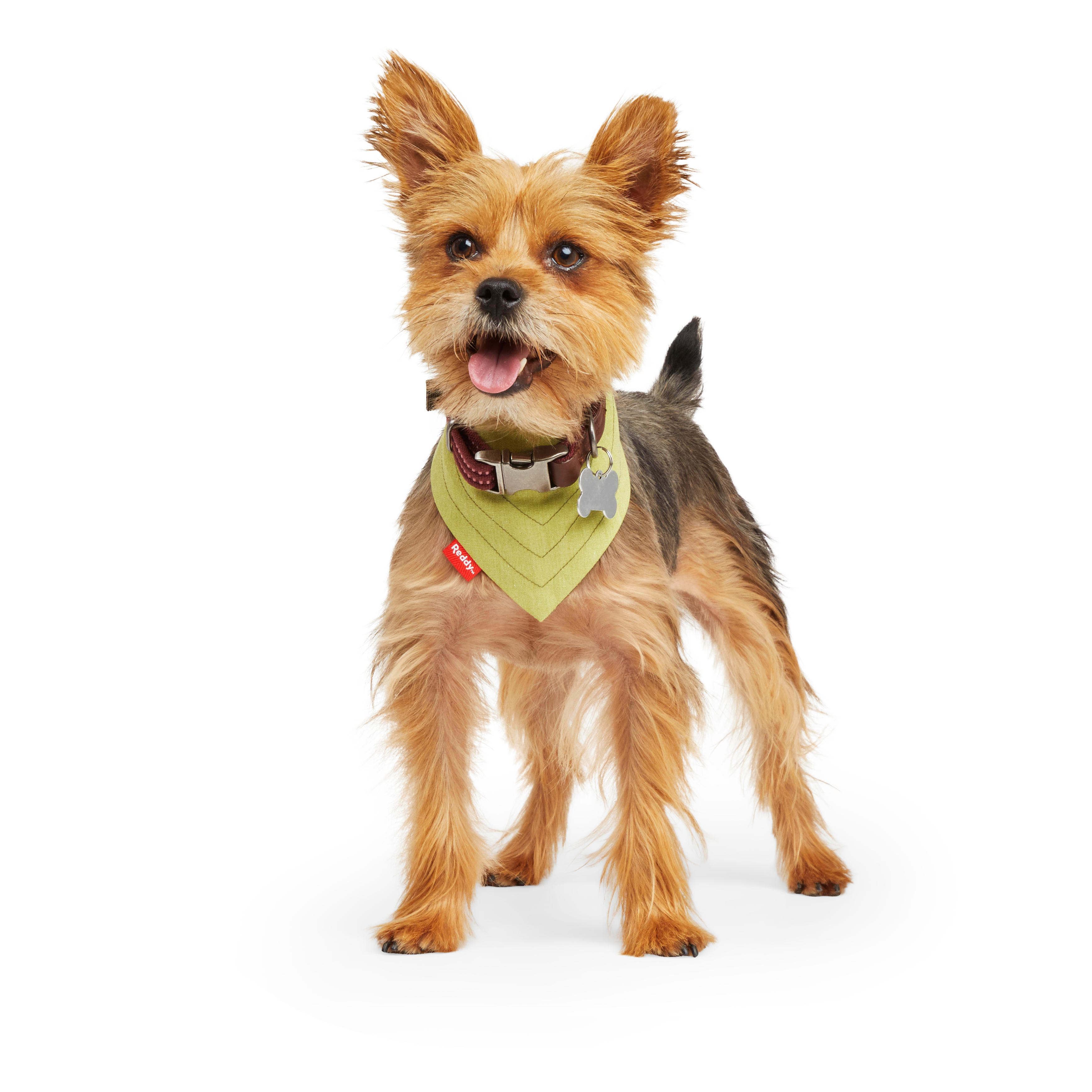 Reddy Green Reversible Dog Bandana， X-Small/Small