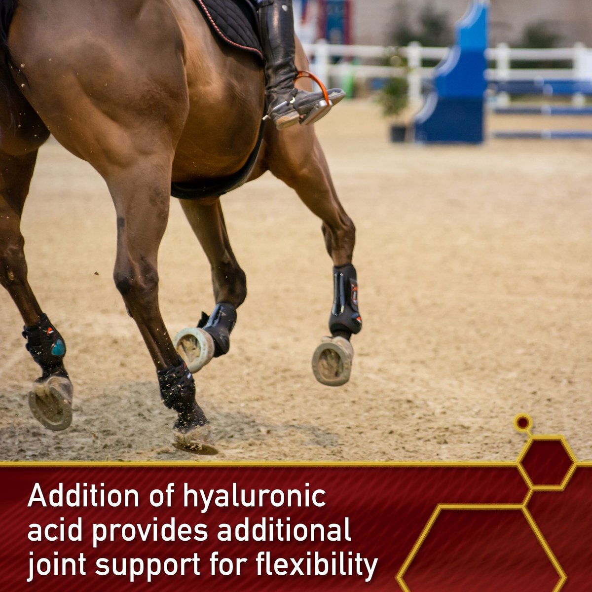 Vita Flex Pro Equinyl Joint Formula and Hyaluronic Acid Powder Horse Supplement