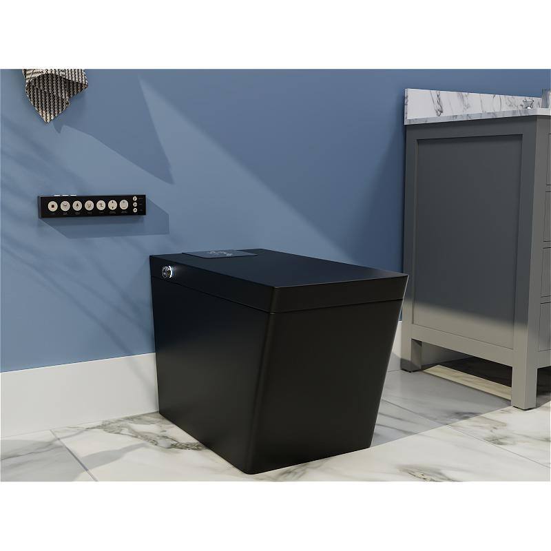 BTCSTAR Smart Toilet Bidet One-piece 0.81.2 GPF Dual Flush Square Toilet in. Matte Black Seat with Remote Panel BTCMFBTCT2005MB