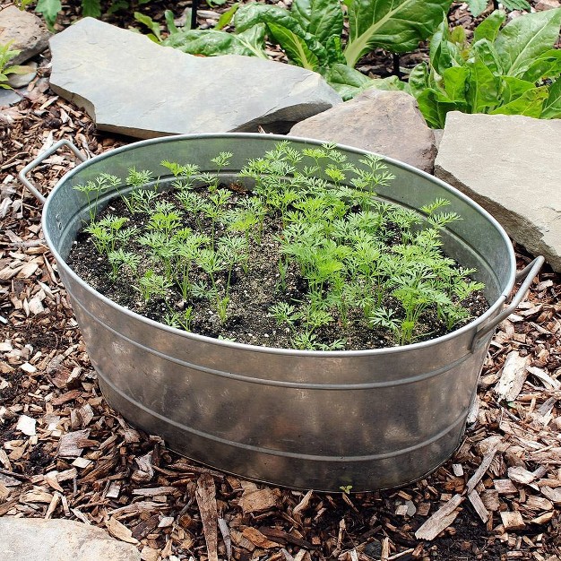 Oval Galvanized Tub With 2 Side Handles Steel Achla Designs