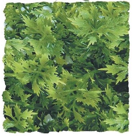 Zoo Med Australian Maple Artificial Plant