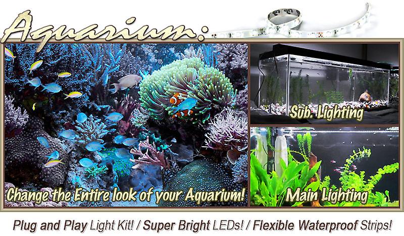 6' ft Cool White Aquarium Fish Tank White LED Lighting Strip + Dimmer + Remote + Wall Plug 110V - Main Lighting Sub Fresh Water Salt Water Tanks Water Resistant 3528 SMD Flexible DIY 220V