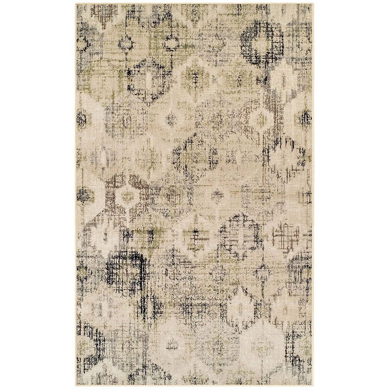 SUPERIOR Aberdeen Traditional Floral Indoor Area Rug