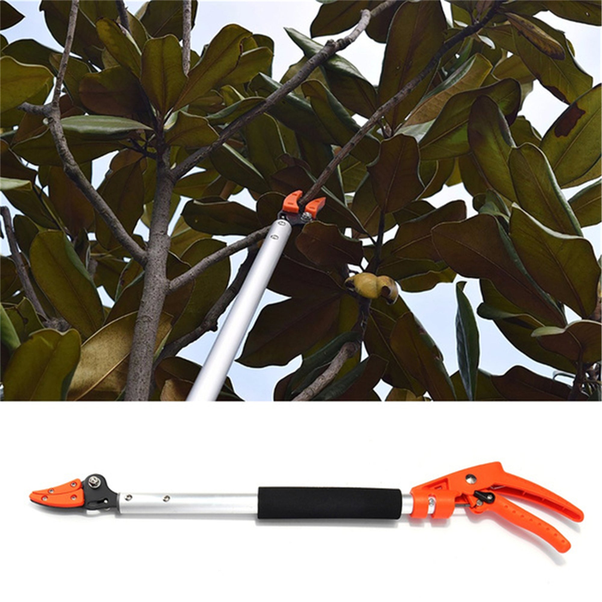 Seyurigaoka Long Handle Telescopic Fruit Picker, Practical Tree Reach Pruner