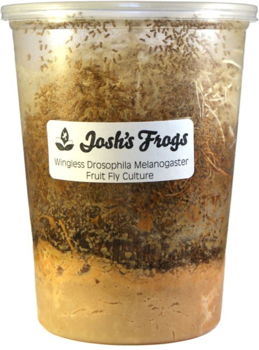 Josh's Frogs Dart Frog Feeder Bundle