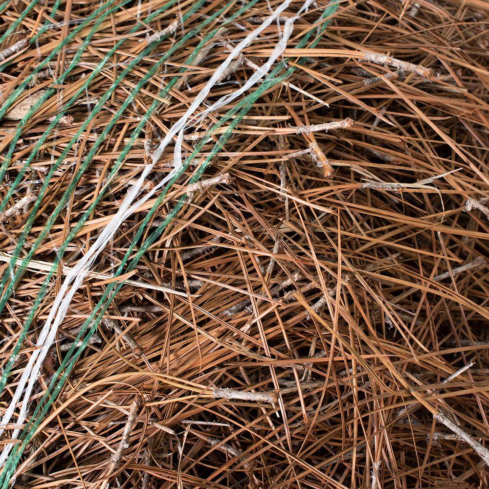 national PLANT NETWORK Long Leaf Pine Straw Bale HD1379