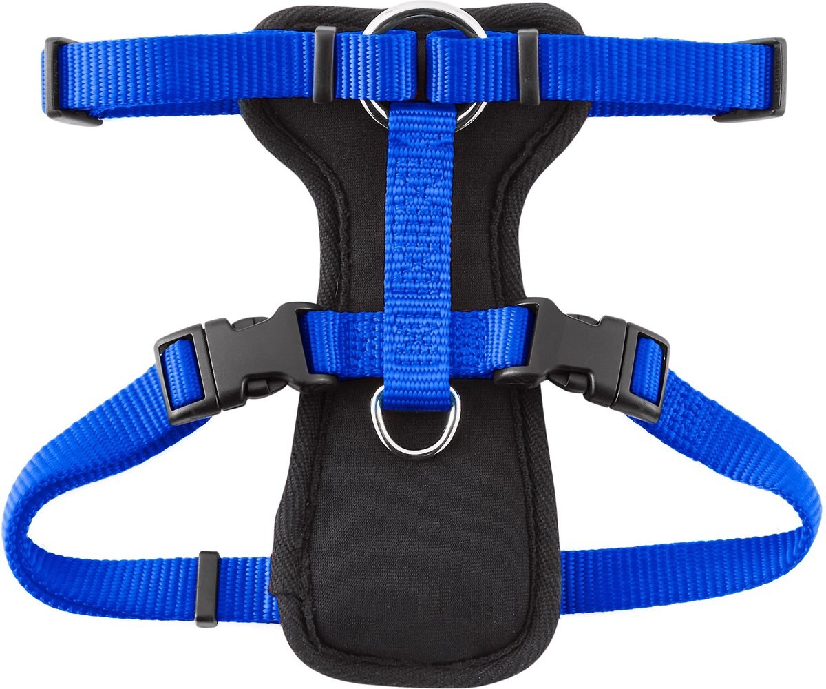 Frisco Padded Nylon No Pull Dog Harness