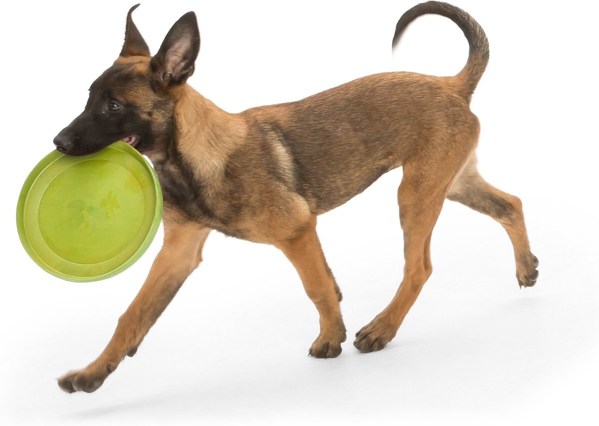 West Paw Zogoflex Zisc Flying Disc Dog Toy