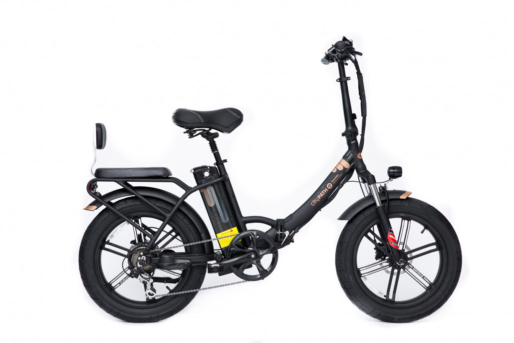 Green Bike Electric City Path Step Thru Fat Tire Folding Ebike 750W