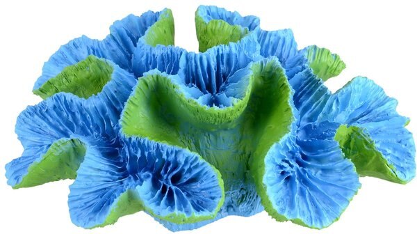 Underwater Treasures Open Brain Coral Fish Ornament