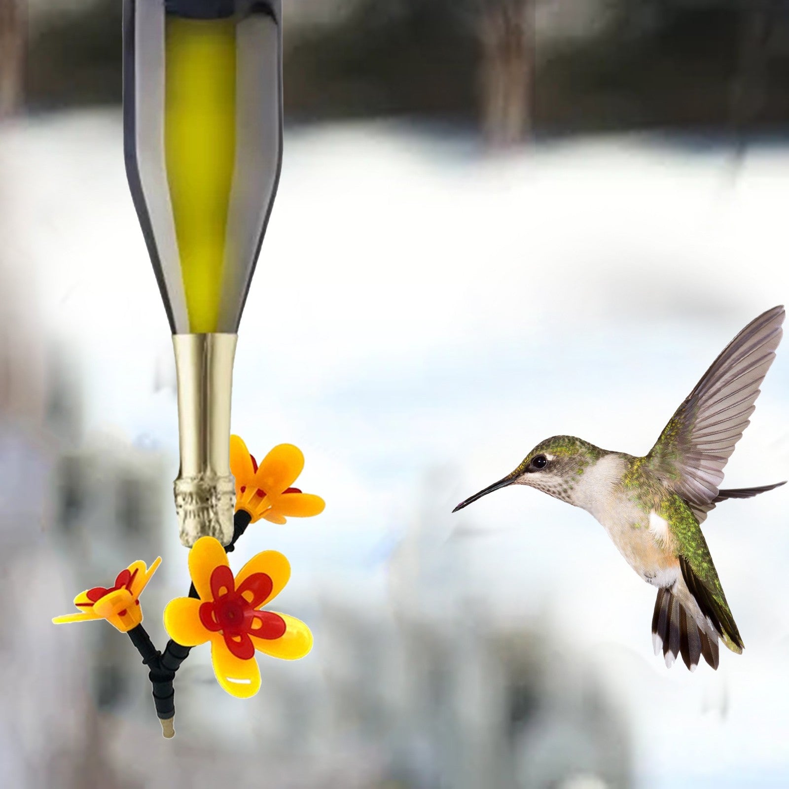 Turn Your Own Recycled Bottles Into The Special Hummingbird Feeder