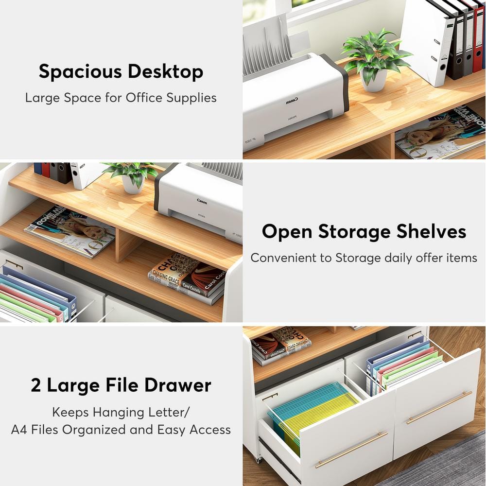 BYBLIGHT Atencio White 2-Drawer Mobile File Cabinet with Storage Shelves and Locking Casters for Home Office BB-XK00093DT