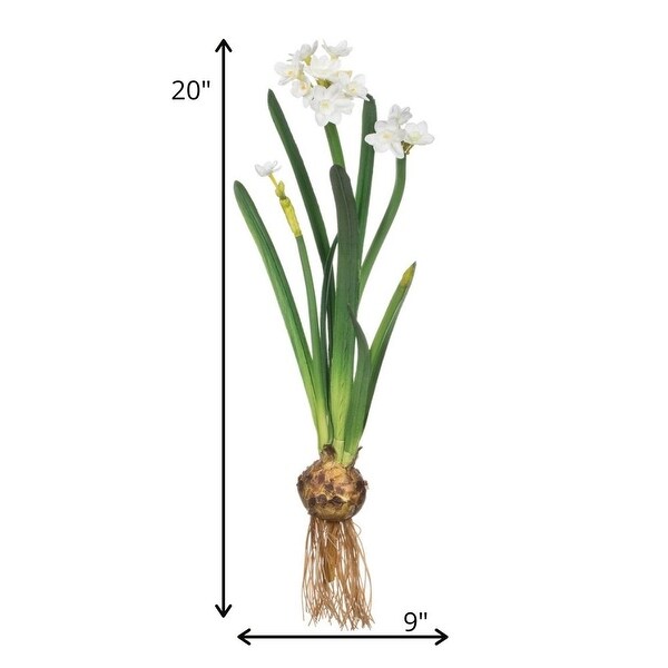 Sullivans Artificial Paperwhite With Bulb Stem 20H White