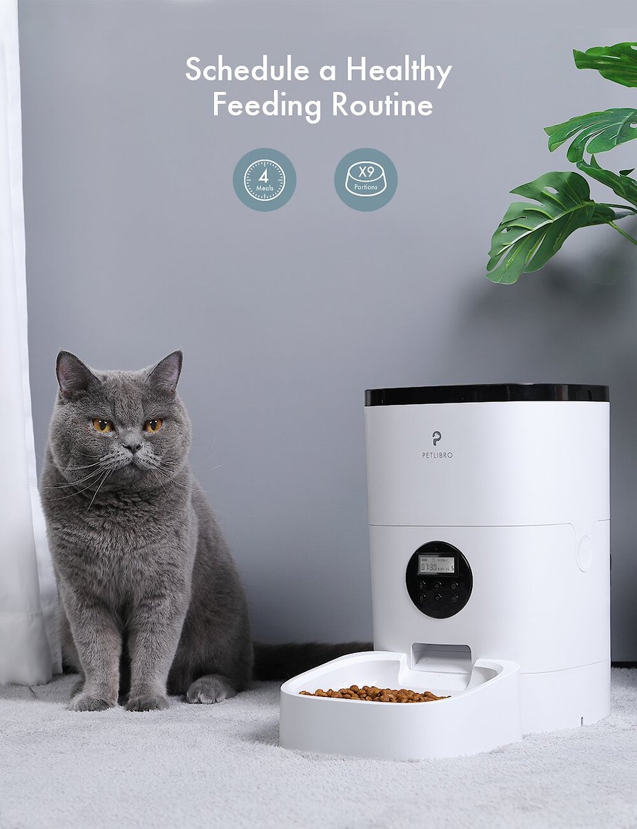 Petlibro Automatic Dog and Cat Feeder