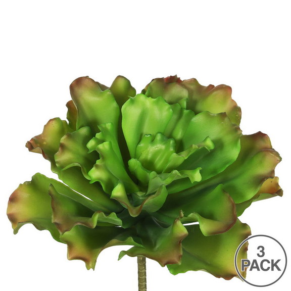 Vickerman FA170901 9 Big Romaine Green/Brown Pk/3