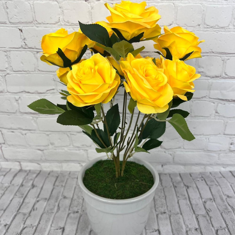 Gorgeous Roses in Ceramic Pot