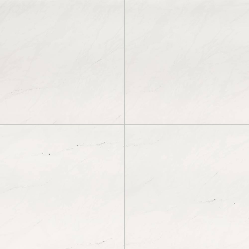 MSI Aria Ice 24 in. x 24 in. Polished Porcelain Floor and Wall Tile (16 sq. ft.  case) NARIICE2424P