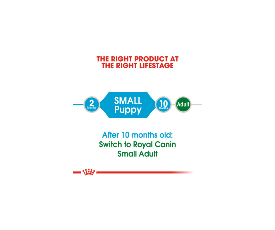 Royal Canin - Small Puppy Dry Dog Food