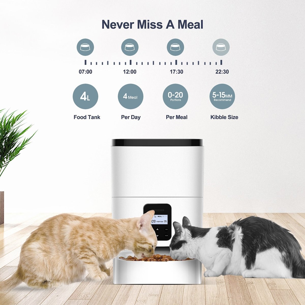 Petdiary Automatic Dog and Cat Feeder， White， Medium