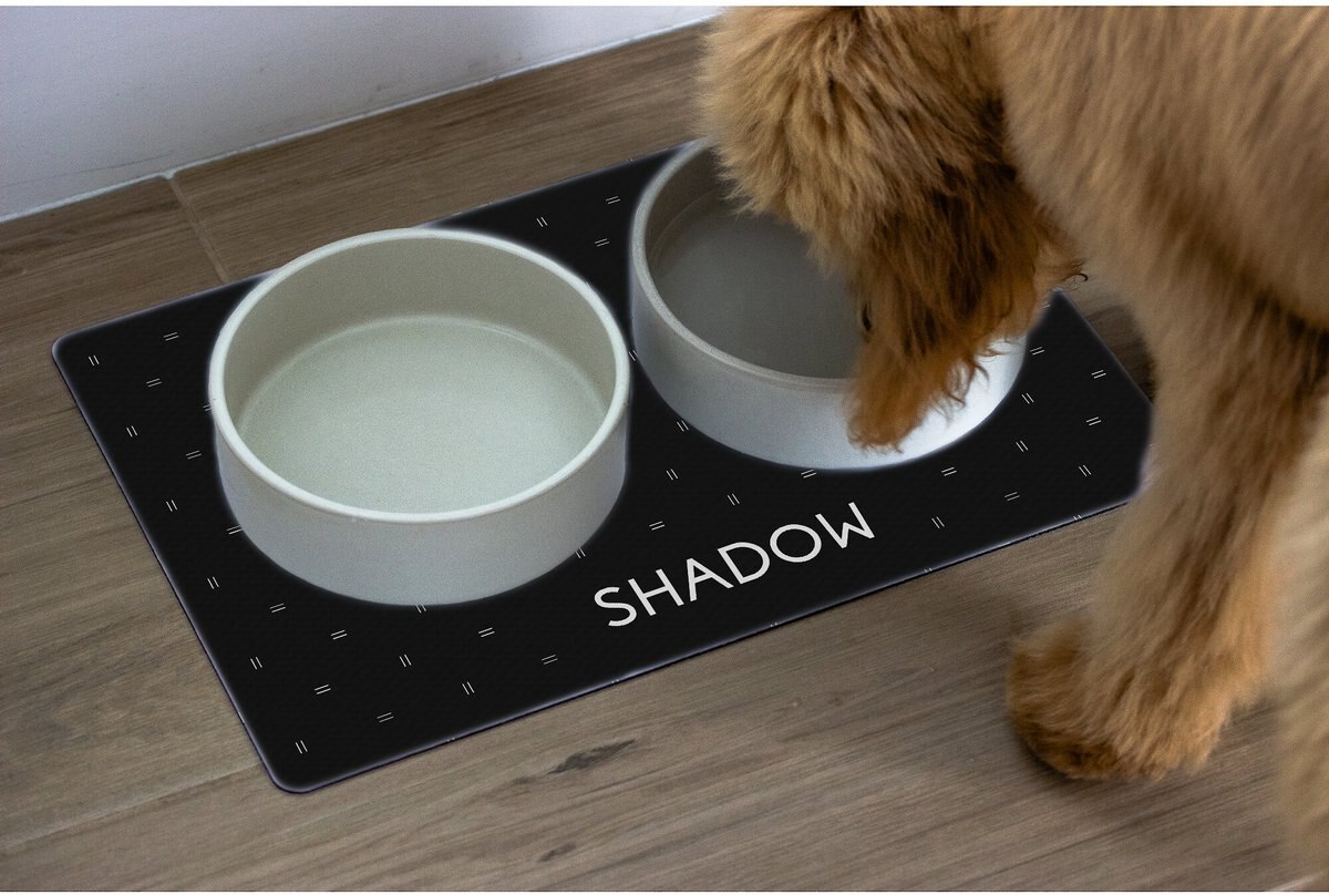 904 Custom Personalized Modern Dashed Dog and Cat Placemat