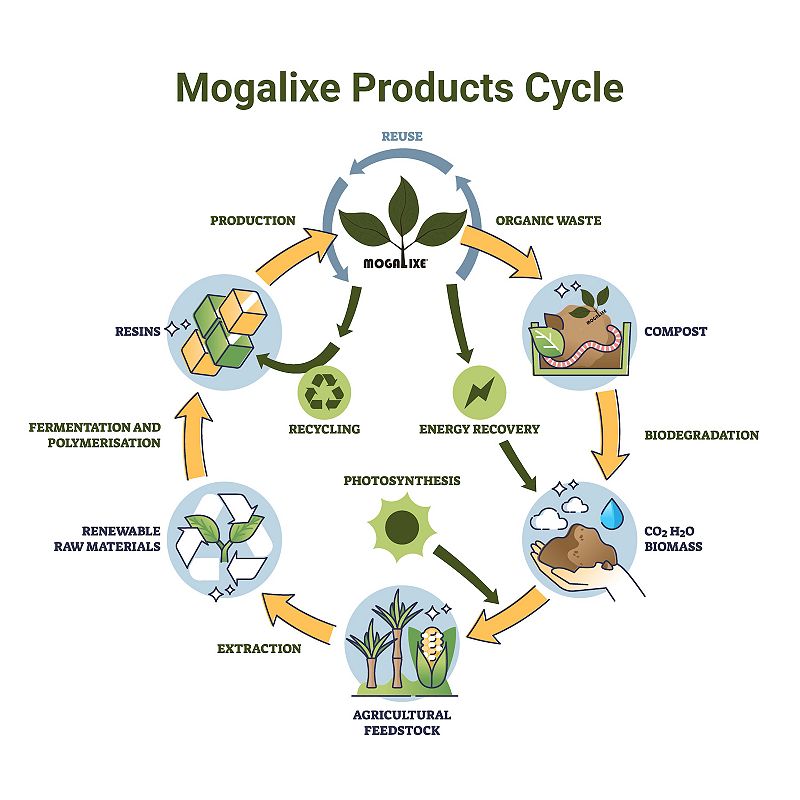 Mogalixe Compostable Drinking Straws Count 600